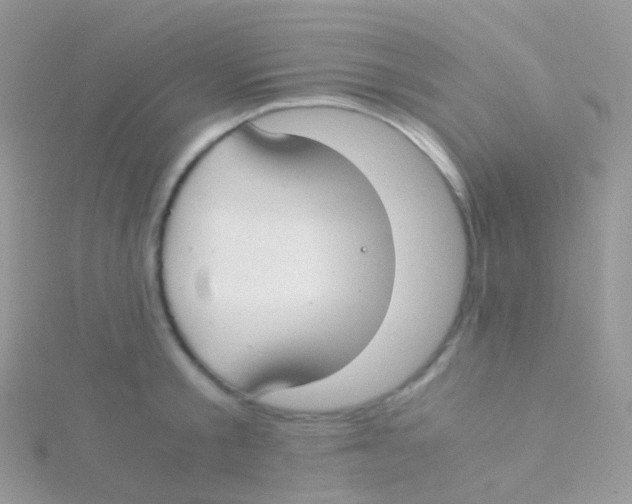 X0000115040805200911231131