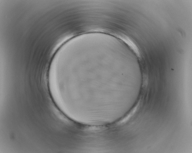 X0000115040806200911231131