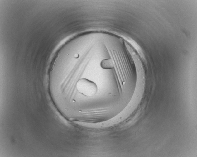 X0000115040807200911231131