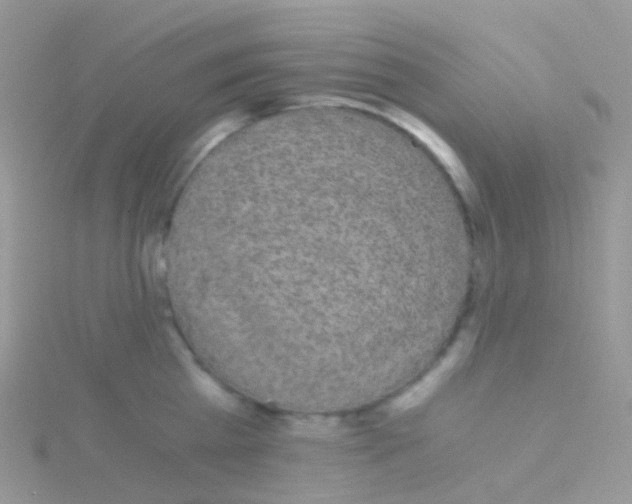 X0000115040809200911231131