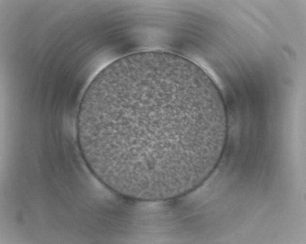 X0000115040810200911231131