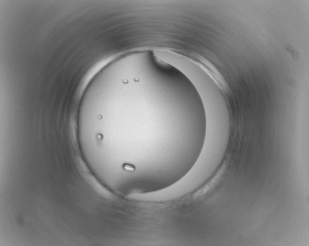 X0000115040812200911231131