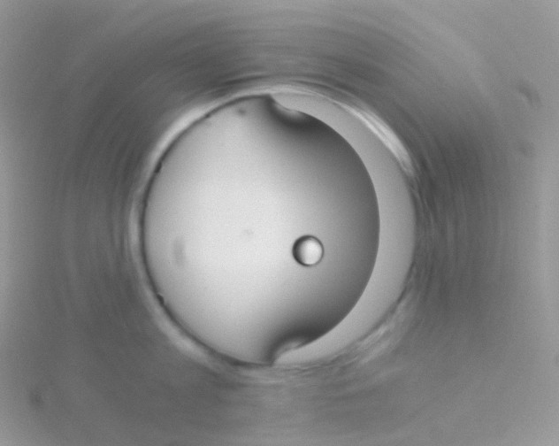 X0000115040813200911231131