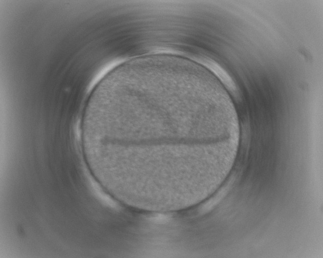 X0000115040814200911231131