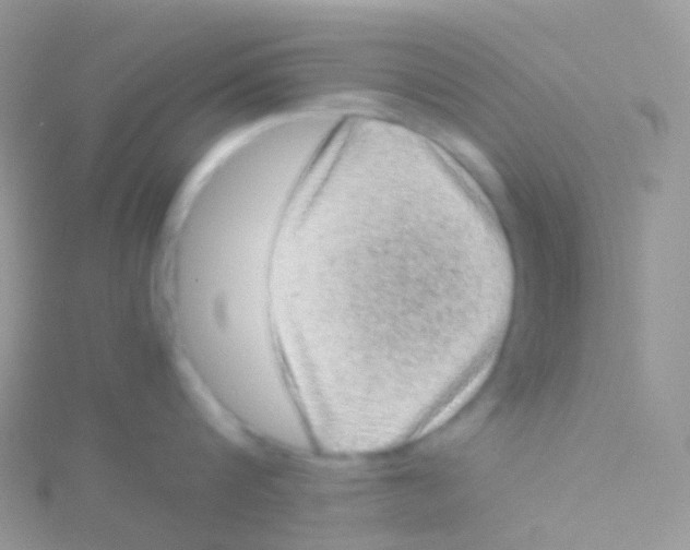 X0000115040816200911231131