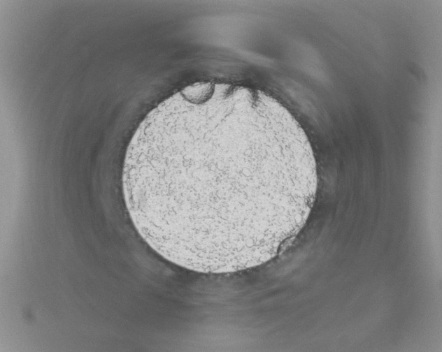 X0000115040817200911231130