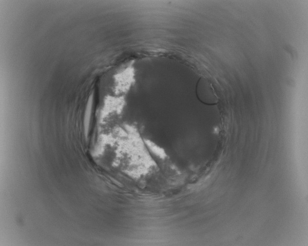 X0000115040818200911231131