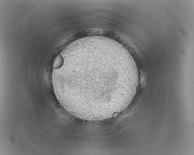 X0000115040819200911231131