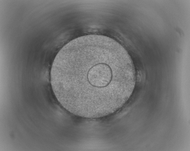 X0000115040820200911231131