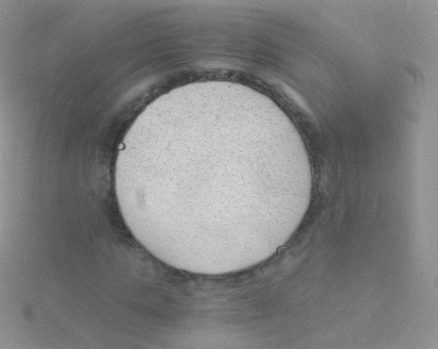 X0000115040821200911231131