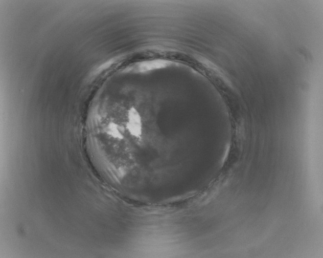 X0000115040822200911231131