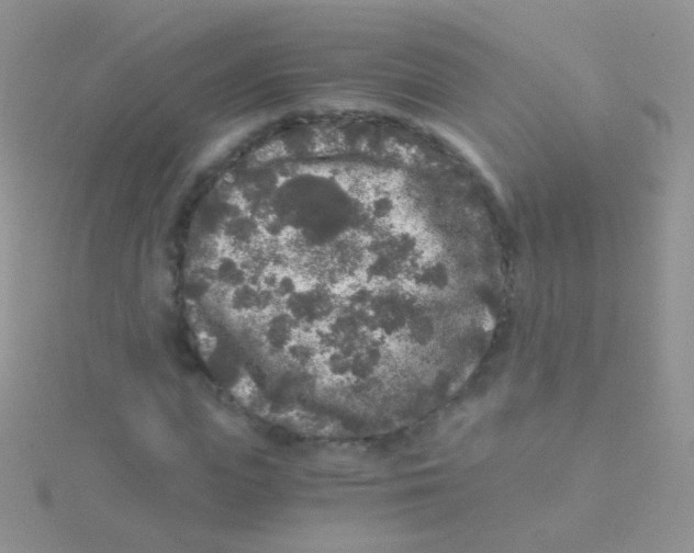 X0000115040823200911231131