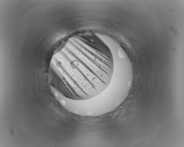 X0000115040824200911231131