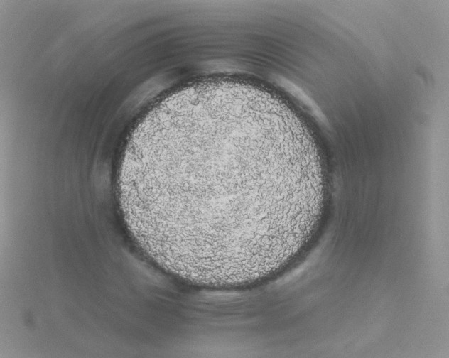 X0000115040825200911231131