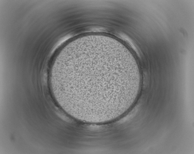 X0000115040827200911231131