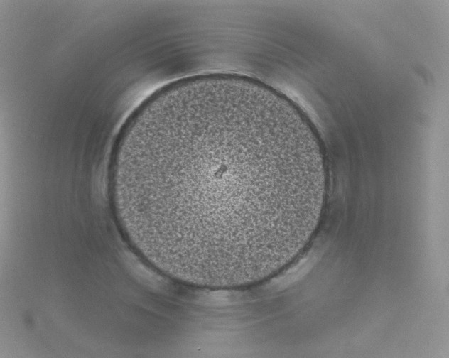 X0000115040828200911231131