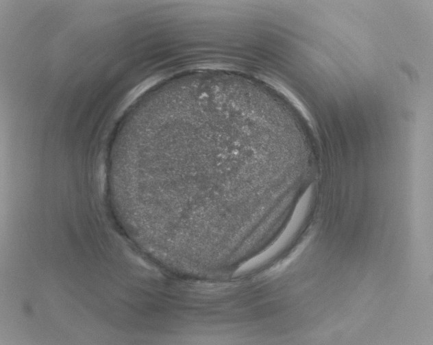 X0000115040829200911231131