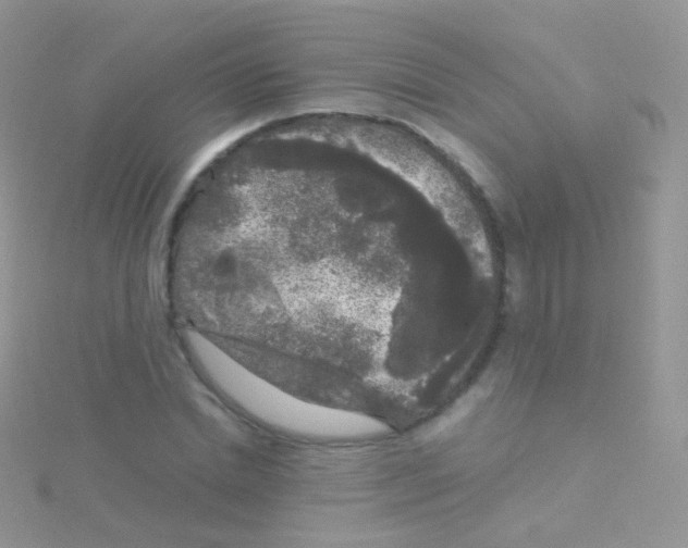 X0000115040830200911231131