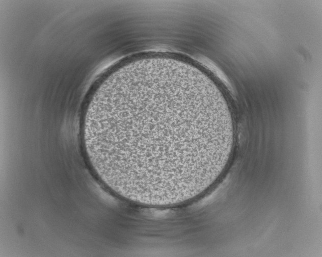 X0000115040831200911231131