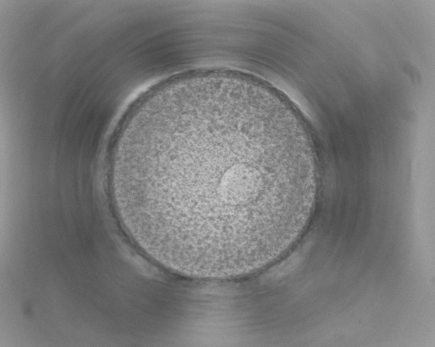 X0000115040832200911231131