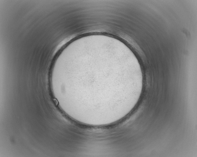 X0000115040834200911231131