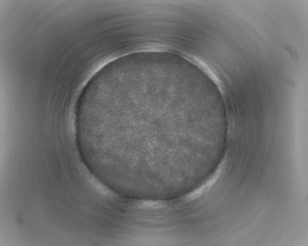 X0000115040835200911231131