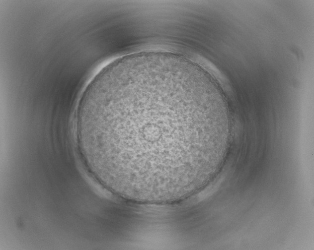 X0000115040836200911231131