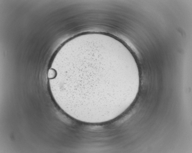 X0000115040837200911231131