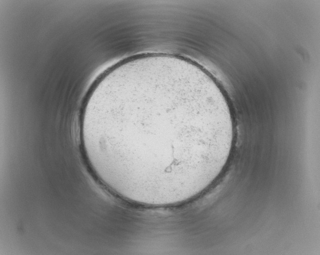 X0000115040838200911231131