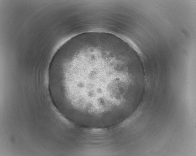 X0000115040839200911231131