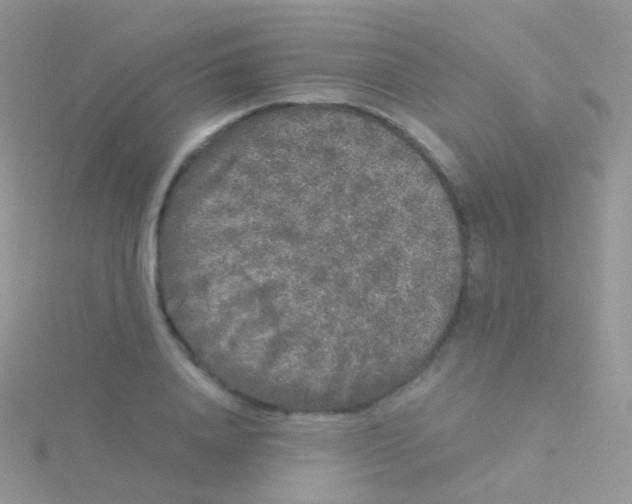 X0000115040840200911231131