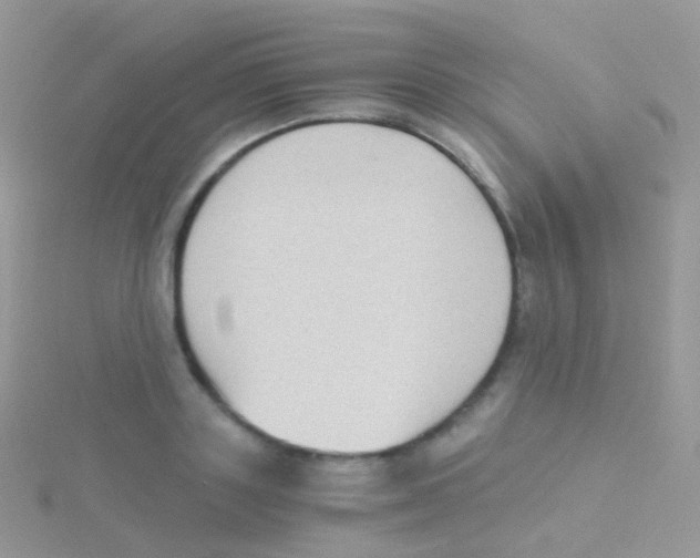 X0000115040843200911231131