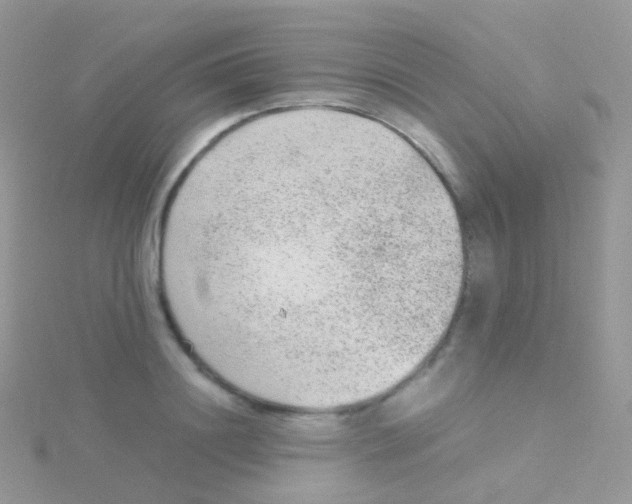 X0000115040844200911231131