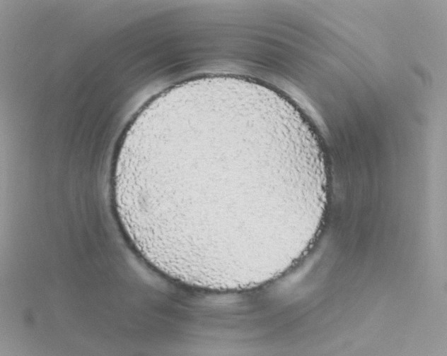 X0000115040845200911231131