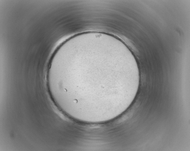 X0000115040846200911231131