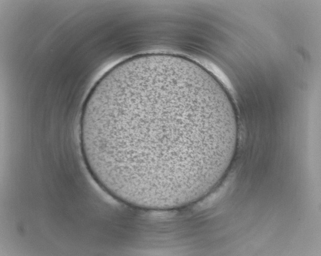 X0000115040847200911231131