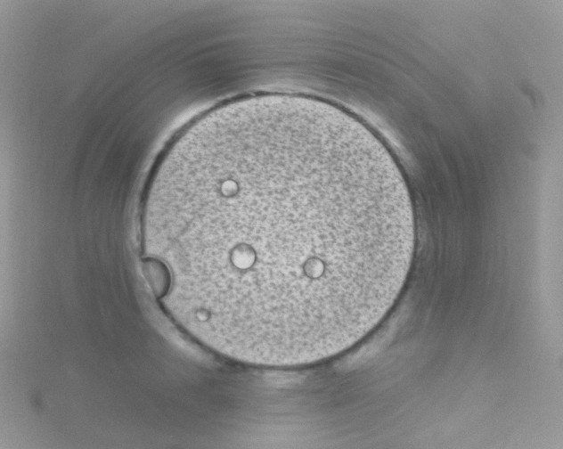 X0000115040848200911231131