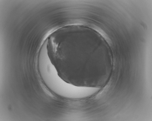 X0000115040850200911231131