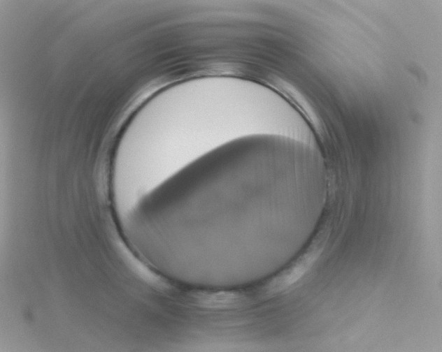 X0000115040851200911231131