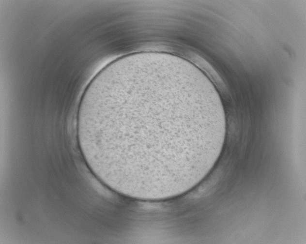 X0000115040852200911231131