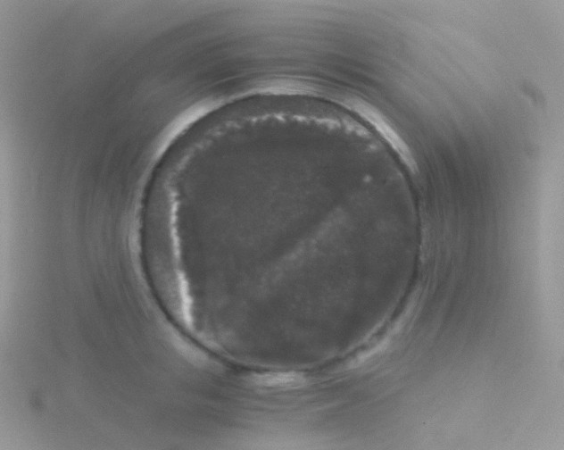 X0000115040853200911231131