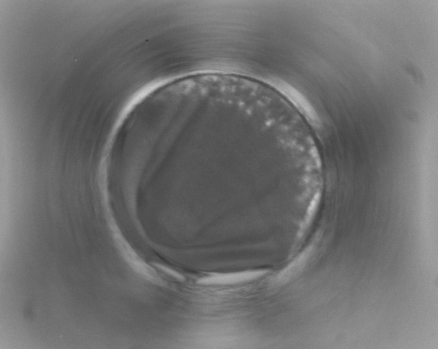 X0000115040854200911231131