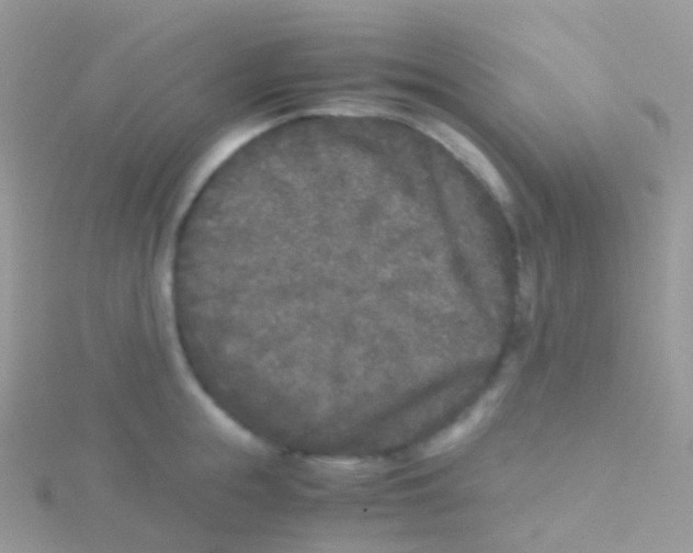 X0000115040855200911231131