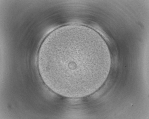 X0000115040856200911231131