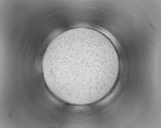 X0000115040857200911231131