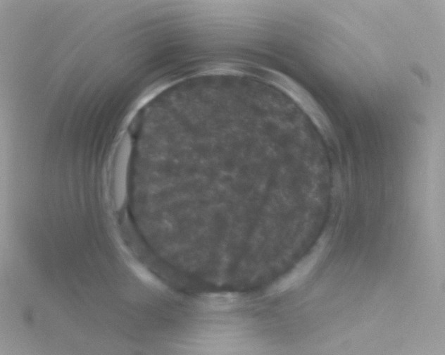 X0000115040858200911231131