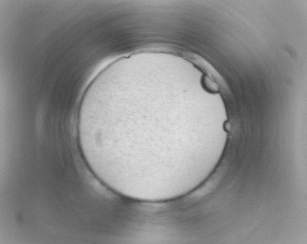 X0000115040860200911231131