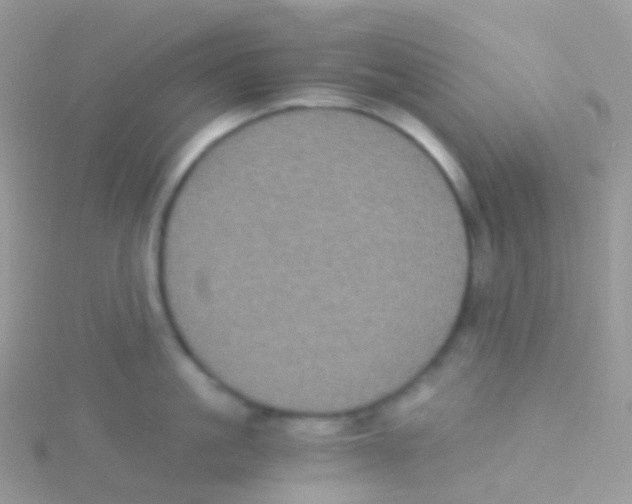 X0000115040861200911231131