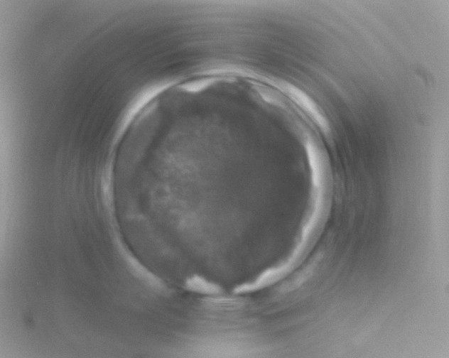 X0000115040863200911231131