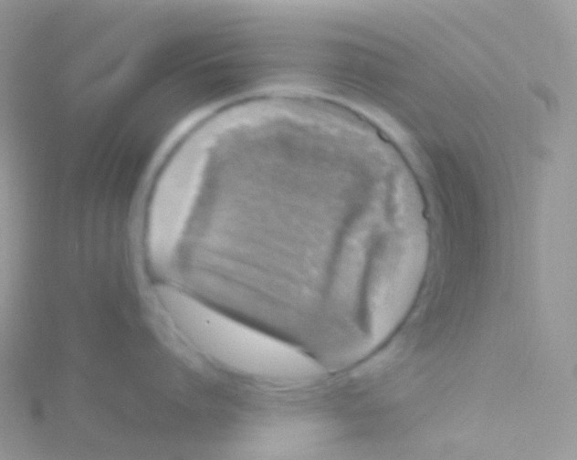 X0000115040864200911231131